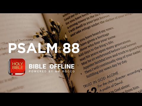 Salmo 88 – Biblia sin conexión