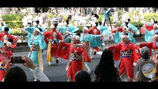 4K ほにやよさこい（HONIYA YOSAKOI） 原宿表参道元氣祭スーパーよさこい・2019