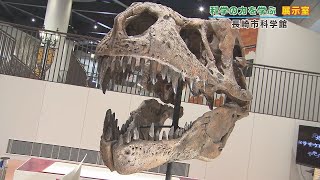 【KTN】長崎市科学館 展示室