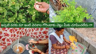 Vlog//చిన్న పాప చాలా weak గా పుట్టింది//మా ఇంటి వెనకాల గోరింటాకు చెట్టు//village house wife routin