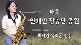 [최지영 색소폰 연주🎷] 배호 - 안개낀 장충단 공원 | 알토색소폰연주