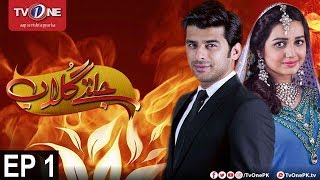 Jaltay Gulab | Episode 1 | TV One Drama | 10th November 2017