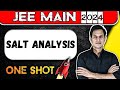 Master Salt Analysis in One Shot w/ Prince Sir | JEE One Shot | Zero to Hero