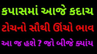 કપાસમાં ઘરેલું વાયદો ઘટયો ? વિદેશી વાયદો વધ્યો ?  કપાસમાં આજે આ વિસ્તારમાં બોલાયો સૌથી ઊંચો ભાવ. રૂ