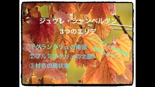 【ブルゴーニュ講座：ジュヴレシャンベルタン①】概要【テキスト配布しています】