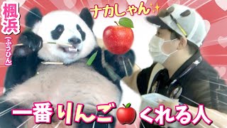 【パンダアイドル楓浜】ナカ飼育員が甘いのよ〜🐼気前良くくれるでしょ〜！大好き♡