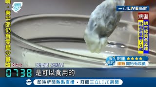 這樣的牛奶你敢喝 ? 打開牛奶微波竟\