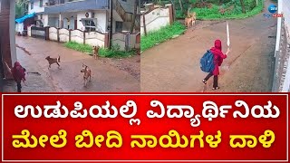 Udupi | ಬೀದಿನಾಯಿಗಳ ದಾಳಿಯ ದೃಶ್ಯ ಸಿಸಿ ಟಿವಿಯಲ್ಲಿ ಸೆರೆ