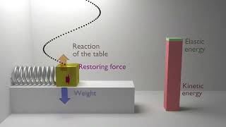 Horizontal Mass Spring System