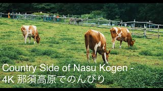 Country Side of Nasu Kogen - 4K 那須高原でのんびり