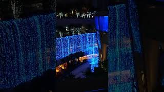 Christmas lights in Namba parks ,Osaka,Japan　大阪　なんばパークス　光旅　イルミネーション