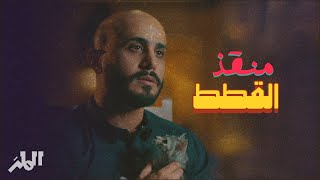 سوالف المنقذ محمد عن القطط المحرومة | رياضيات