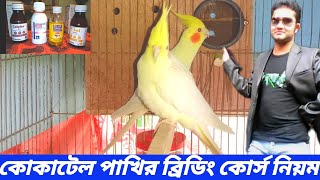 কোকাটেল পাখির ব্রিডিং এর মেডিসিন | cocktail bird breeding course | bird medicine tips | #pakhi