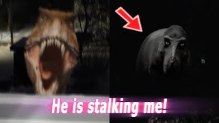 5 Dinosaurs Caught On Camera