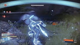 【Destiny 鉄の章 アイアンバナー：コントロール】巧みな龍を使ってみました…つおいかも？