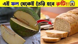 রুটি গাছ! গাছেই ধরেছে খাবার রুটি 😱 Weird Fruits | 1M Bangla | Mayajaal | Apni ki Janen #shorts