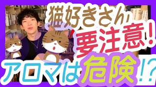 【DaiGo】【切り抜き】アロマは猫には逆効果⁉️アロマの使い方に注意❗️＆可愛い猫動画