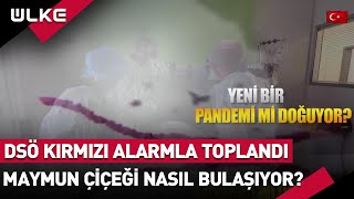 Dünya Diken Üzerinde! DSÖ Kırmızı Alarmla 'Maymun Çiçeği' İçin Toplandı! Peki Nasıl Bulaşıyor?