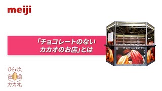 「チョコレートのないカカオのお店」とは