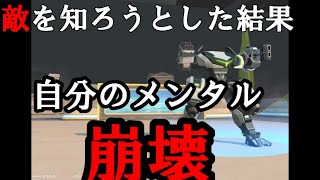 【メカアリーナ】食わず嫌いはダメ！使わないとわからない事もあるはずよ！【Mech Arena】