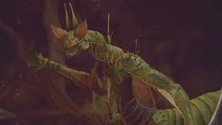 Black Myth: Wukong Emerald Arm Mantis Boss ch 6