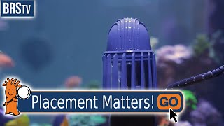 Where Should a Powerhead Be Placed in an Aquarium?