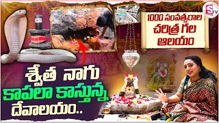 1000 సంవత్సరాల చరిత్ర  గల ఆలయం.. | 1000 Years of History |   @Sumantvnizamabad395