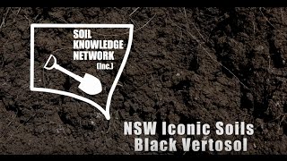 Iconic Soils of NSW - Black Vertosol