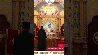 സന്ധ്യാപ്രാർത്ഥന | #revfrmathaizachariah |#goodfriday