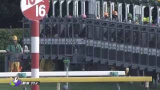 【競馬HD】2016第51回関屋記念(G3)ヤングマンパワー