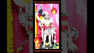 ஸ்ரீ பாலத்து கருப்பண்ணசாமி திருக்கோயில் பாரியூர் கோபி  #karuppar#trust #religion #devotional