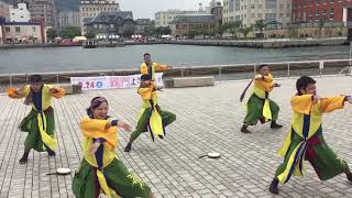 天晴れやまびこ元氣組  よさこい中九大会in関門よさこい