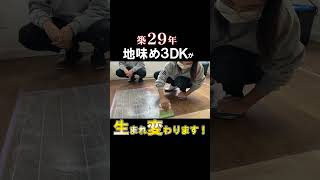 【築29年 地味め3DK】はリノベーションで変わるのか!?ビフォーアフター/Renovation before and after 29 years old #Shorts