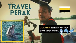 Dapat tengok Dolphin di Kuala Sepetang, Perak, Malaysia 🇲🇾