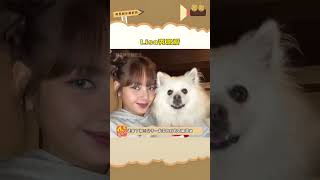 #lisa  秀恩爱圣诞节晒与三公子的情侣公仔真的好甜哟#lv三公子