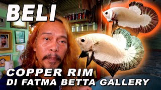 BELI CUPANG COPPER RIM DARI FATMA BETTA GALLERY