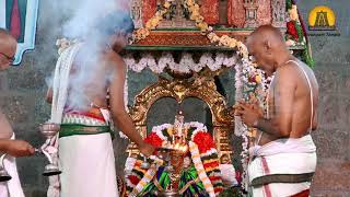 Sri Kamalavalli Thaayaar Day 6 | Srirangam Temple