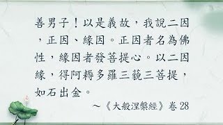 入門起信(二) 024 一切如來得道正因