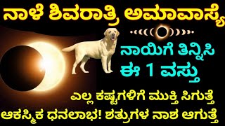 ನಾಳೆ ಮಾಘ ಅಮಾವಾಸ್ಯೆ ದಿನ / ಈ 1 ವಸ್ತು ನಾಯಿಗೆ ತಿನ್ನಿಸಿ / ಎಲ್ಲ ಕಷ್ಟ ಹೋಗಿ / ಆಕಸ್ಮಿಕ ಧನಲಾಭ ಸಂಪತ್ತು ವೃದ್ಧಿ