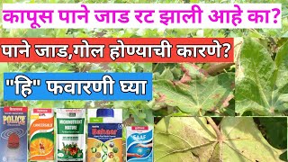 कापूस पाने‌ जाड कडक झाली आहेत?| कपाशी पिवळी झालीय उपाय| कपाशी लाल पडणे|#kapus  @Worriershetkari