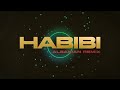 ricky rich x habibi albanian remix lyric video