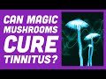 Can Magic Mushrooms Cure Tinnitus? (with Jamie Loxton) | Sci Guys Clip