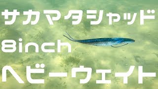 【琵琶湖バス釣り】depsサカマタシャッド8　ヘビーウェイト　松下雅幸