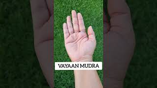 2 Yoga Mudras for Alzhemiers Disease | Vyaan Mudra | Gyan Mudra