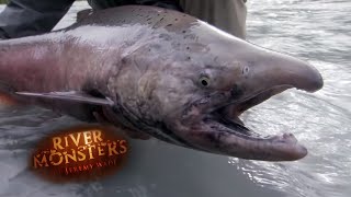 Jeremy Whips Out A King Salmon | SALMON | River Monsters