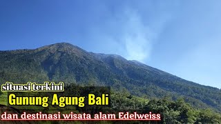 situasi gunung Agung Bali dan destinasi wisata alam Edelweiss di kaki gunung Agung