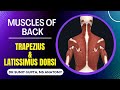 MUSCLES OF BACK : Trapezius and latissimus dorsi muscles || POSTERIOR AXIO-APPENDICULAR MUSCLES ||