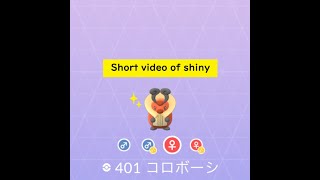 【Pokémon GO】Rarity ”C”＃401 コロボーシ ☆shiny☆