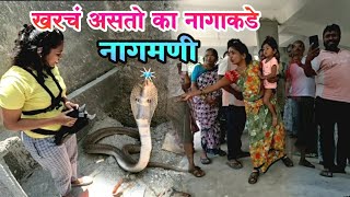 😱🐍का चिडलेला हा नाग? नागाकडे खरचं असतो का हिरा?💎🐍💎🥺