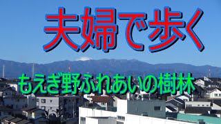 もえぎ野ふれあいの樹林を歩きました。